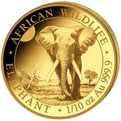 African Wildlife: Słoń Somalijski 1/10 uncji Złota 2025
