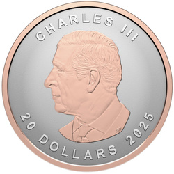 Kanadský javorový list „Silver Maple Leaf“ pozlacený 1 unce stříbra 2025 Reverse Proof Ultra High Relief