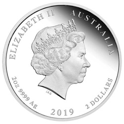 Lunar II: Rok Świni kolorowany 2 uncje Srebra 2019 Proof (Brisbane Money Expo)