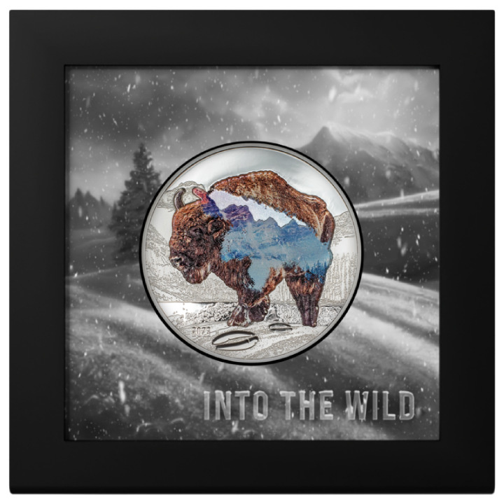 Mongolia: Into the Wild - Bison kolorowany 2 uncje Srebra 2023 Proof Ultra High Relief