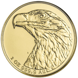 White-tailed eagle 1 oz Gold 2022