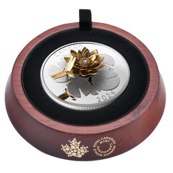 Canada: La libellula e il fiore placcato in oro $50 Argento 2024 Proof