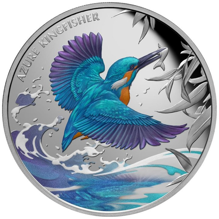 Niue: Azure Kingfisher kolorowany 1 uncja Srebra 2023 Proof