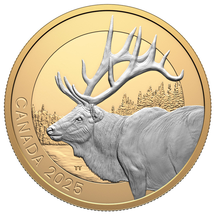 Canada: Animal Portraits - Elk pozłacany $20 Srebro 2025 Proof