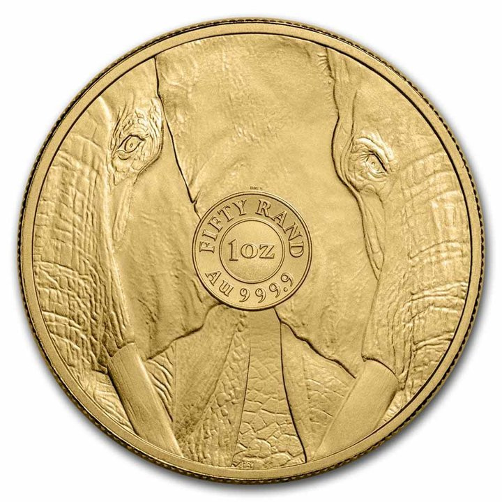 Big Five: Elephant 1 uncja Złota 2023