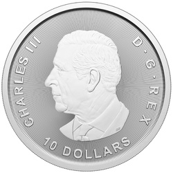 Canada: Bull and Bear 2 oz Silber 2025