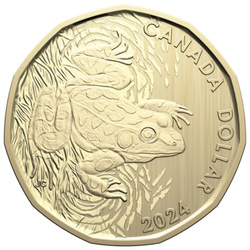 Zestaw Canada: Conservation Stories - Northern Leopard Frog 6 monet 2024 Specimem