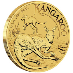 Kangourou australien 1/2 once d'or 2025