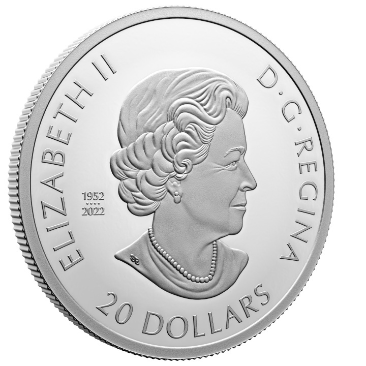 Canada: Remembrance Day coloured $20 Silver 2023 Proof Coin