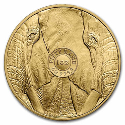 Big Five: Elephant 1 uncja Złota 2022