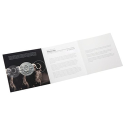 Big Five: Büffel 1 oz Silber 2021