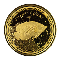 Montserrat Blue Girdled Angelfish 1 oz Gold 2021