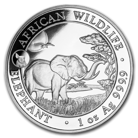 African Wildlife: Słoń Somalijski 1 uncja Srebra 2019 Pig Privy Mark