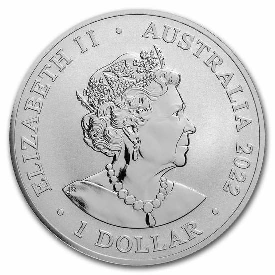 Delfín oscuro 1 oz Plata 2022