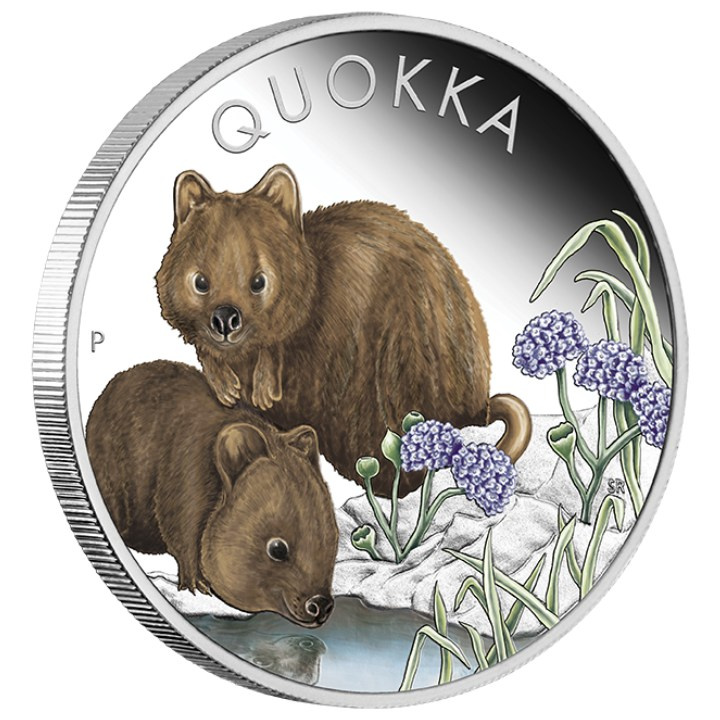 Quokka coloured 1 oz Silber 2023 Proof