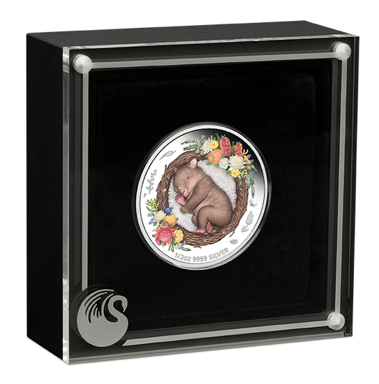 Dreaming Down Under: Wombat coloured ½ oz Silver 2021 Proof