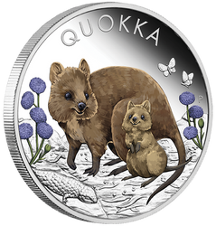 Quokka colorato 1 oncia d'argento 2022 Proof