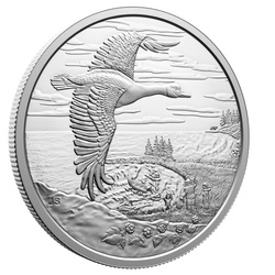 Canada: Interconnected Nature $20 Argento 2025 Proof