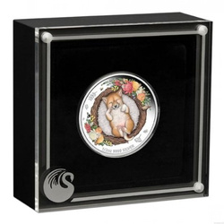 Dreaming Down Under: Dingo coloured  ½ oz Silber 2021 Proof