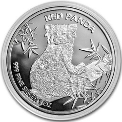 Czad: Red Panda 1 oz Silber 2024 Coin