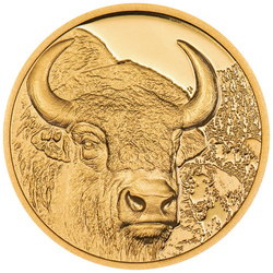 Mongolie : Bison 1/10 once d'or 2025 Proof
