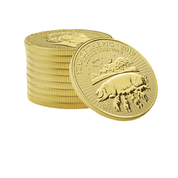 Lunar: A disznó éve 1 uncia arany 2019 Royal Mint UK