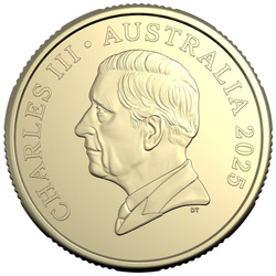 RAM Bluey Christmas colorat 9 g bronz aluminiu 2025