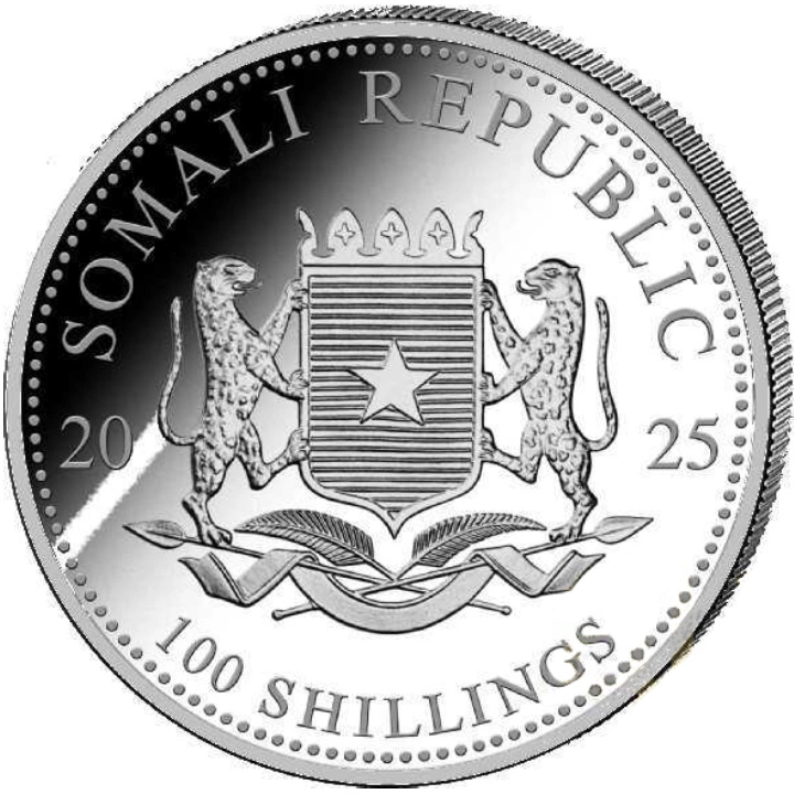Somálsko: Stříbro 2025: africká divoká příroda - leopard 1 oz