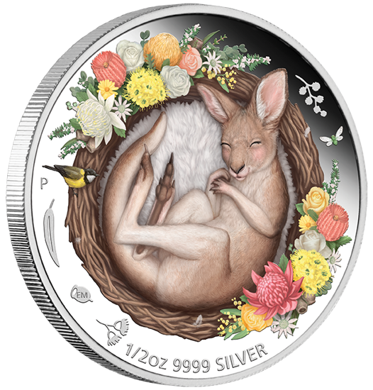 Dreaming Down Under: Śpiący Kangurek kolorowany 1/2 uncji Srebra 2021 Proof