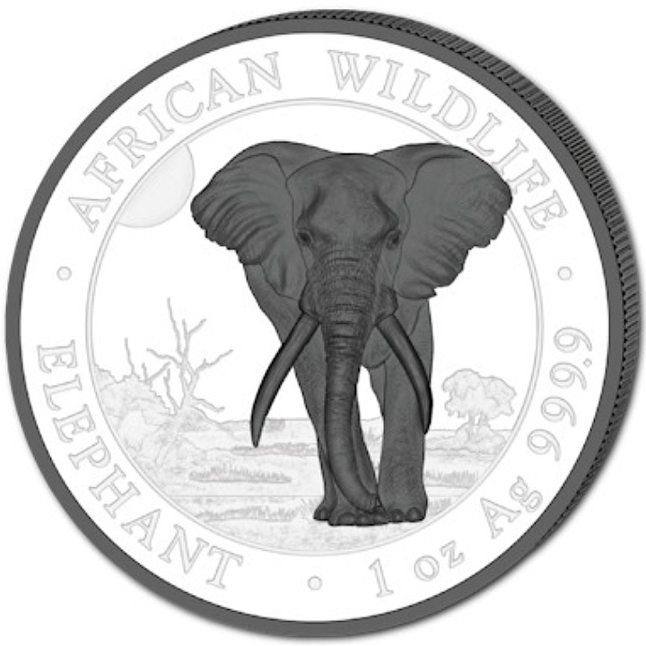 Set di 2 monete African Wildlife: Elefante somalo “Black & White” colorato 2 x 1 oncia d'argento 2025