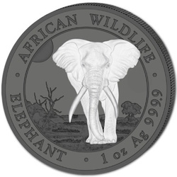 Set di 2 monete African Wildlife: Elefante somalo “Black & White” colorato 2 x 1 oncia d'argento 2025