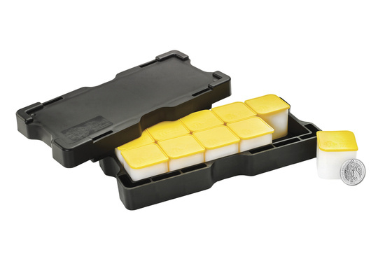 Královská tudorovská zvířata: Lev Anglie 1 unce platiny 2022