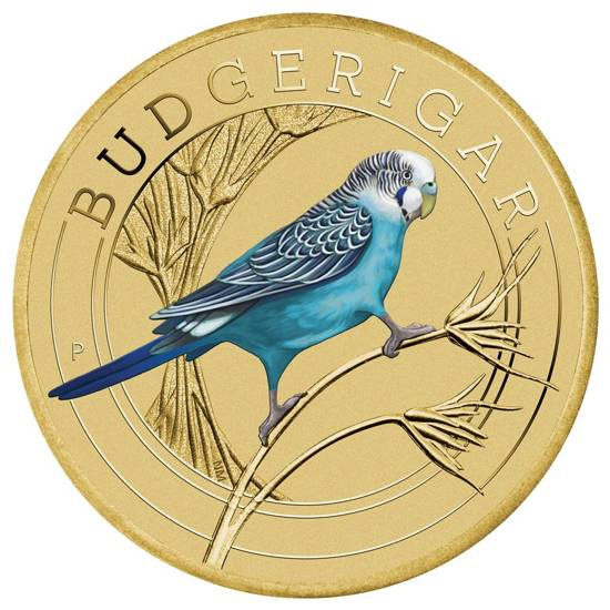 Budgerigar Aluminium Bronze 2022