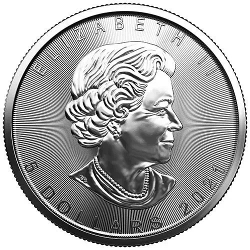 Hoja de Arce Canadiense 1 oz Plata 2021 PAQUETE DE 250 PAQUETES
