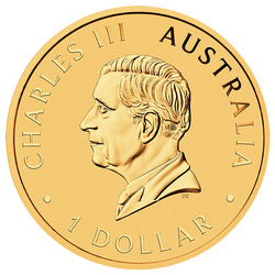 Moneta in argento Perth Mint: 40th Anniversary of the Australian Nugget Hobart Money Expo dorata 1 oncia Argento 2026 (in carta)