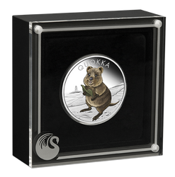 Quokka 1 unce stříbra 2021 Barevná Proof