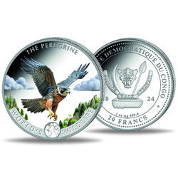 Congo: World‘s Wildlife - Peregrine Falcon kolorowany 1 uncja Srebra 2024