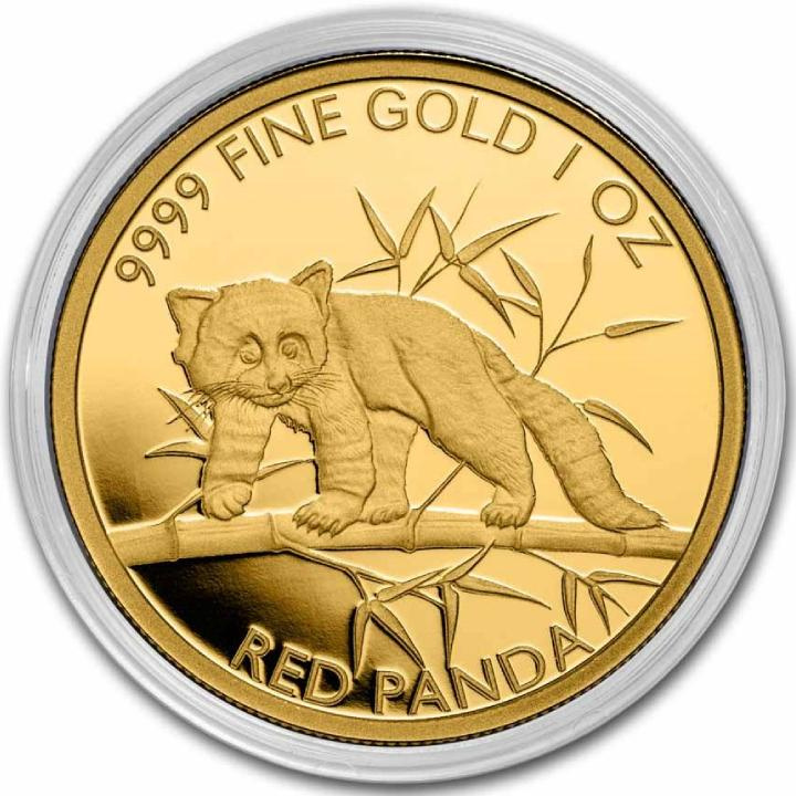 Czad: Red Panda 1 oz Gold 2023 Coin