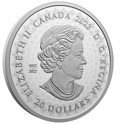 Canada: Grandi cacciatori - Orso grizzly $20 Argento 2023 Moneta Proof Ultra High Relief