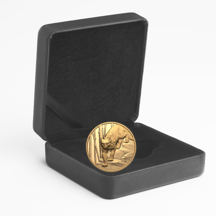 Kanada: Nagy vadászok - Puma 200 dollár arany 2024 Proof Ultra High Relief érme