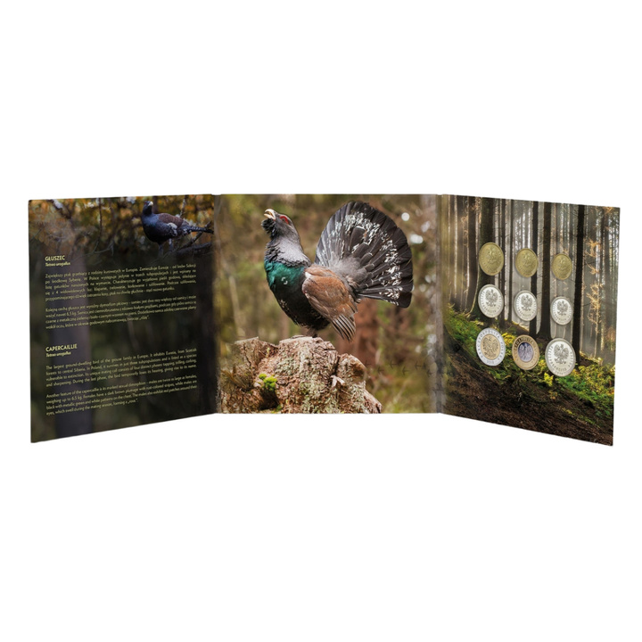 Monedas Circulantes Polacas "Urogallo" - set de monedas 1 gr - 5 zł 2008