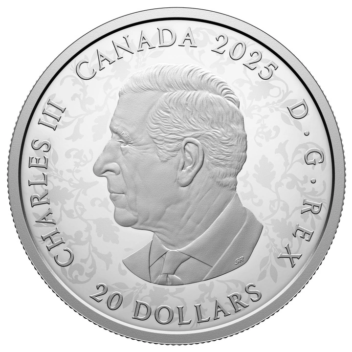 Canada: Celebrating Canada’s Diversity - Strenght and Abundance $20 Argento 2025 Proof