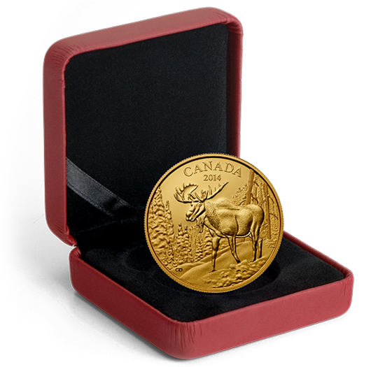 Majestatyczny Łoś 35 gramów Złota 2014 Proof