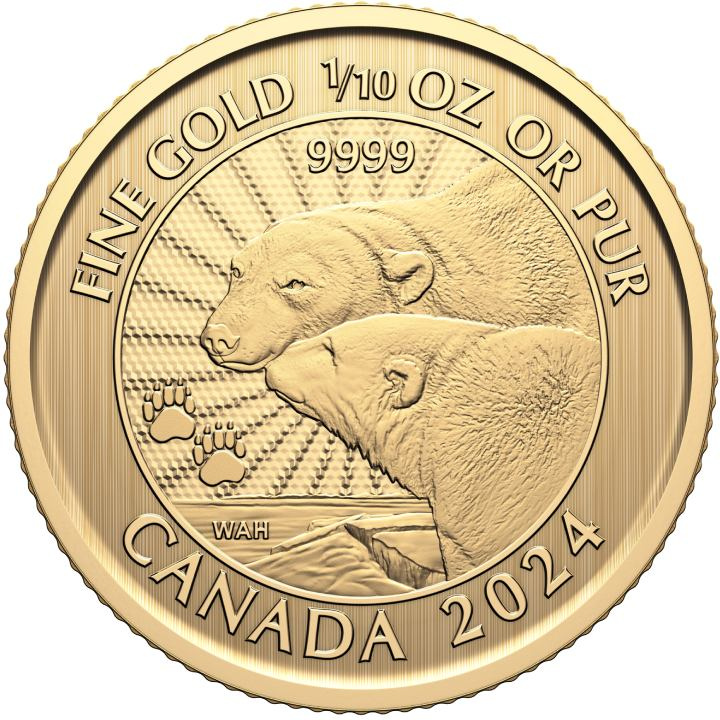 Canada: The Majestic Polar Bear 1/10 uncji Złota 2024 (w karcie)
