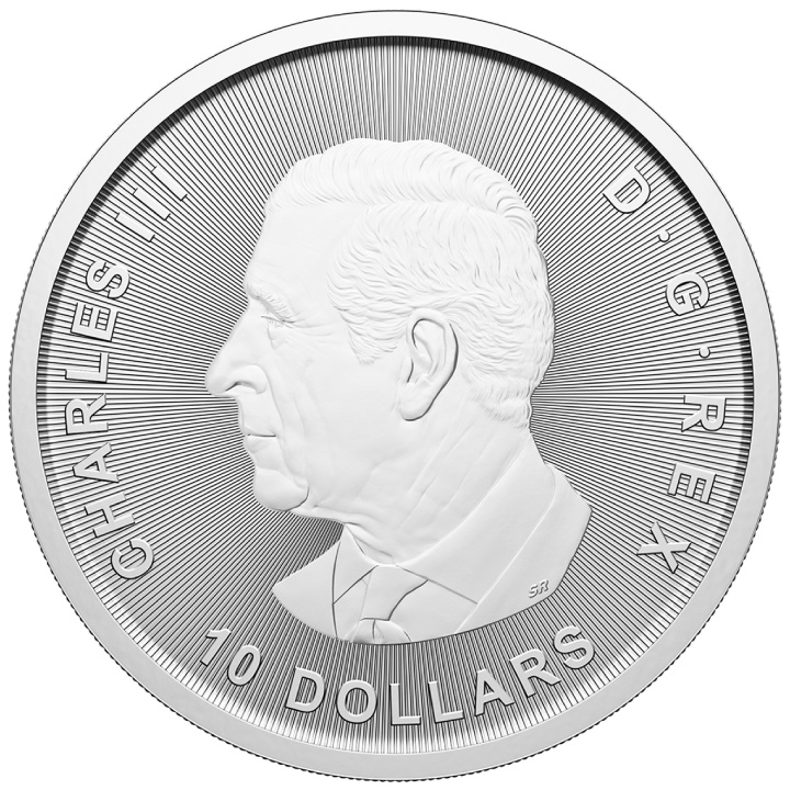 Canadá: Ganso 2 oz Plata 2025