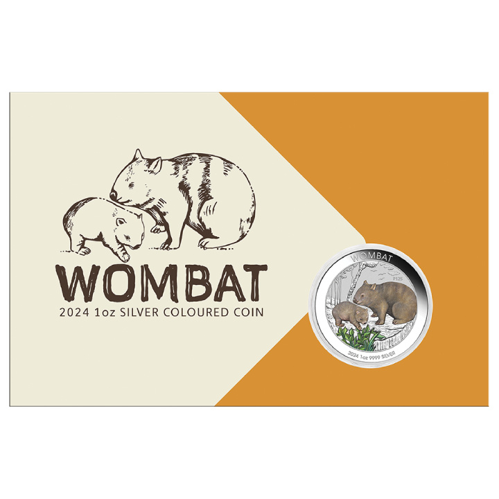 Australijski Wombat kolorowany 1 uncja Srebra 2024
