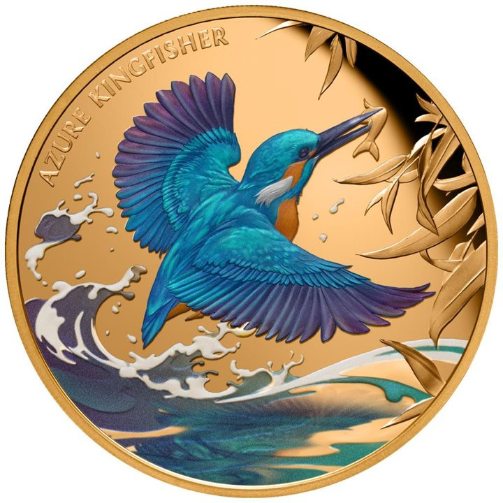 Niue: Azure Kingfisher coloured 1 oz Gold 2023 Proof Coin