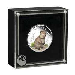 Australian Quokka coloured 1 oz Silber 2024 Proof