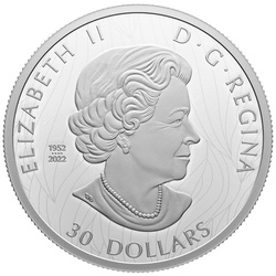 Canadá: The Striking Bald Eagle $30 Plata 2023 Proof