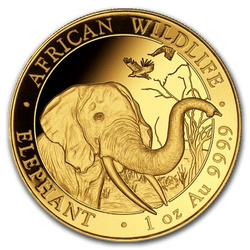 Fauna africana: Elefante somalí 1 oz Oro 2018
